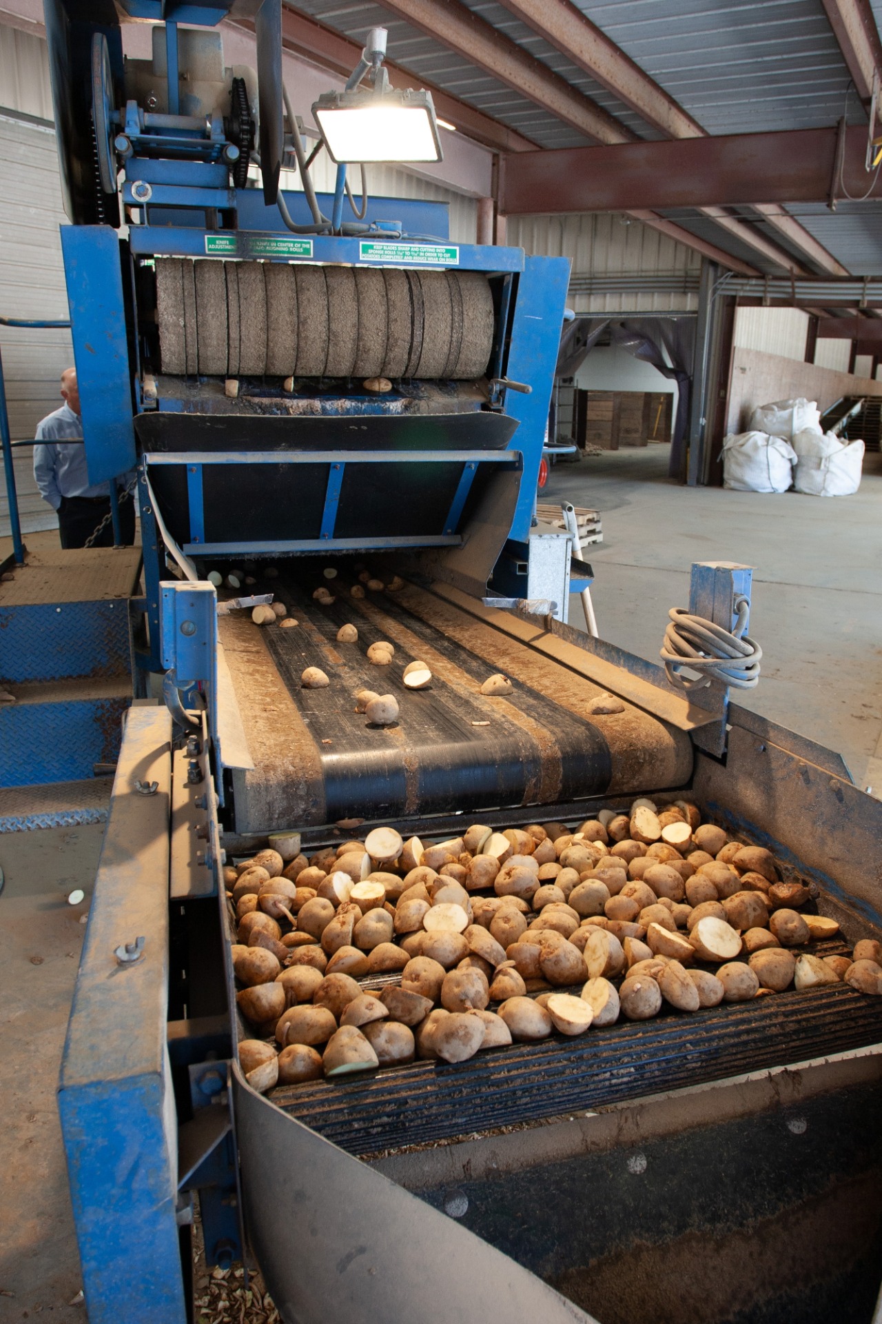 Área de producción de alimentos